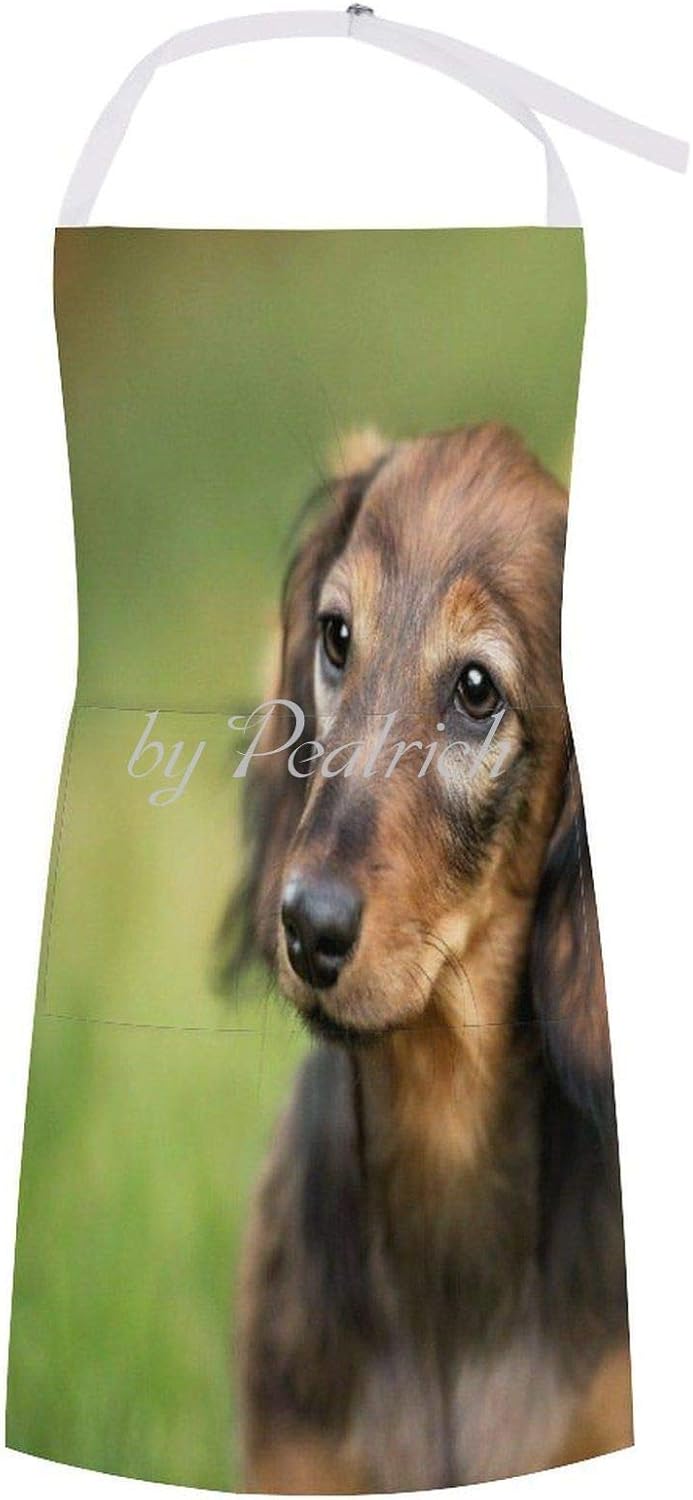 Delantal de cocina para cocinar, lindo perro salchicha perro salchicha