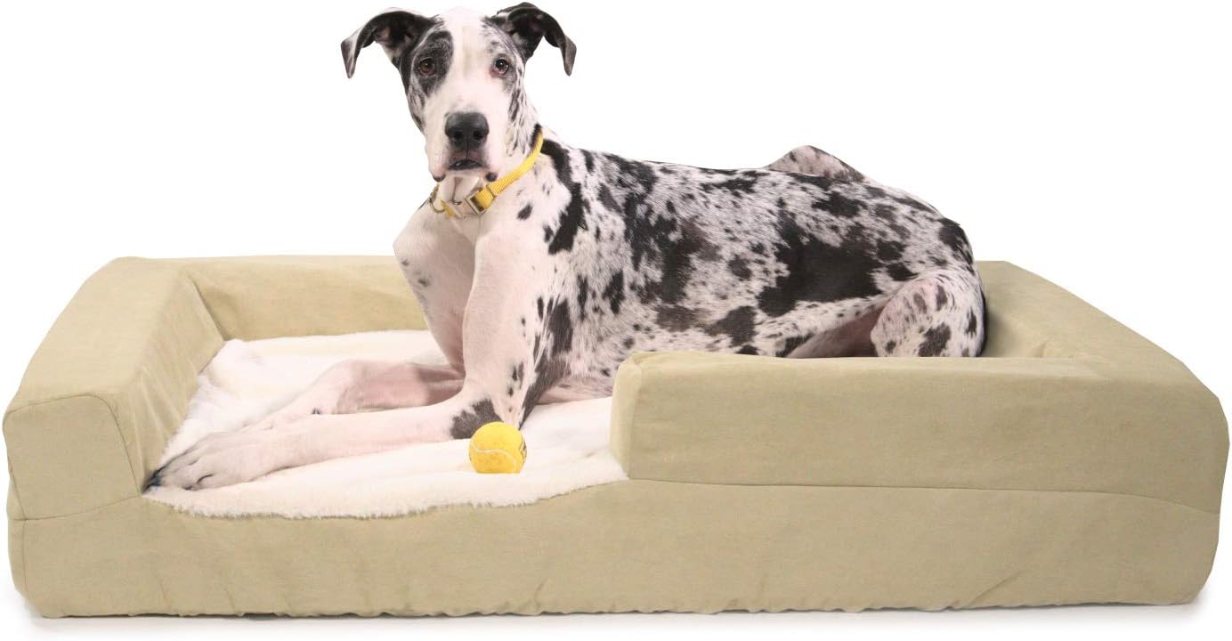 best way to potty train a new puppy