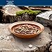 Blue Buffalo Wilderness Flaked Chicken & Trout Adult Wet Cat Food, 5.5 oz., Case of 24