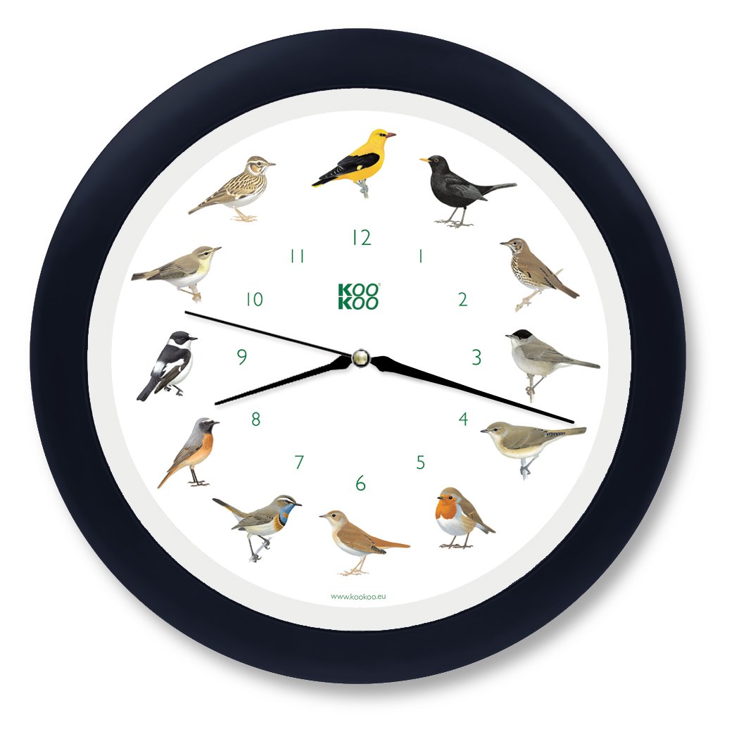 KOOKOO Singvogel black blue, singing birdclock includes 12 genuine original field recordings from native songbirds