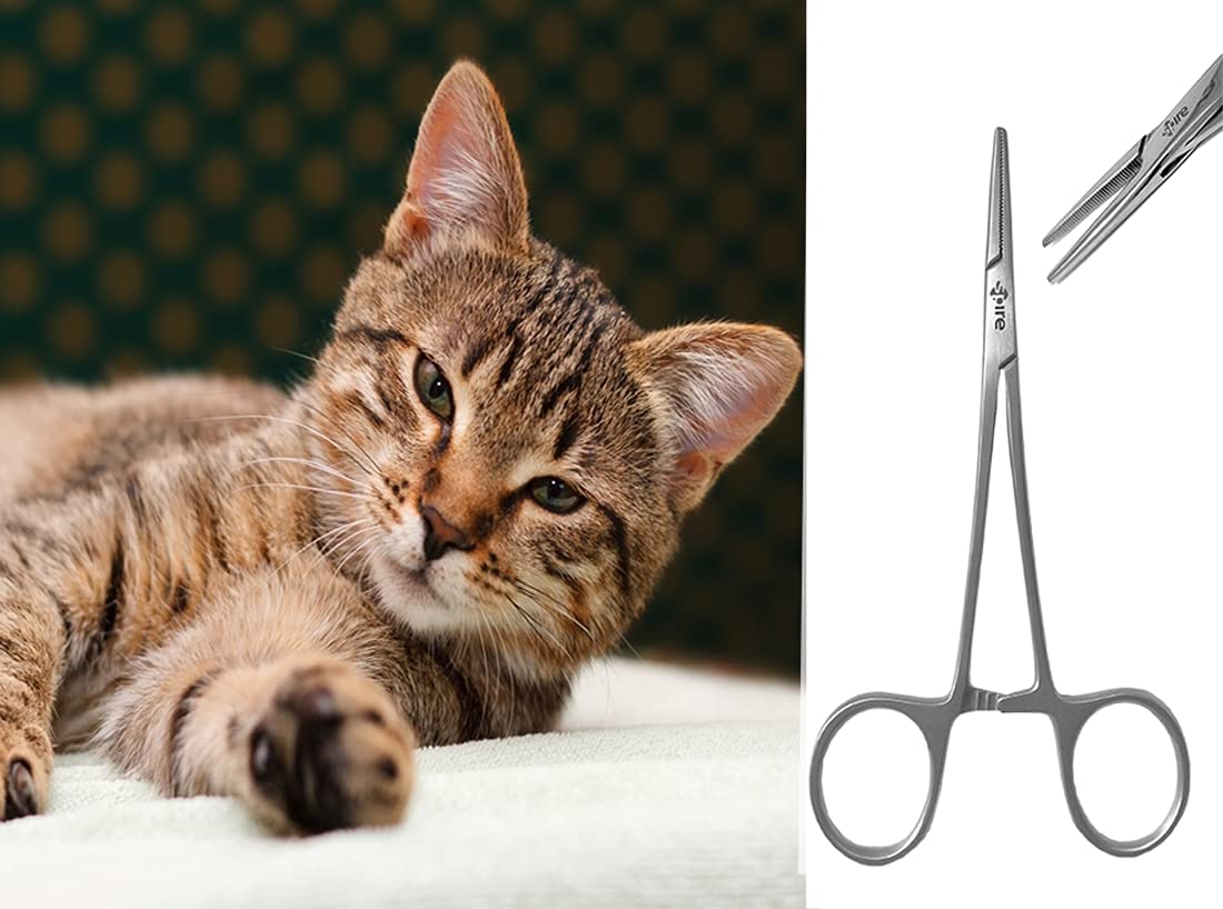 Dog Grooming Scissors clamp 14 cm serrated teeth for Pet Grooming Dog Ear Hair Puller Locking