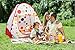 EocuSun Ball Pit Play Tent,Kids Tents/Pop Up Play Tent Play Tents House Indoor and Outdoor Children Kid Tent Beach Tent Playhouse Zipper Storage Case for Boys Girls Toddler