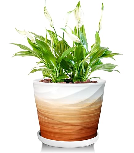 Vicrays Pots De Fleurs D'intérieur En Céramique Avec Trou De Drainage Et Soucoupe Pour Plantes