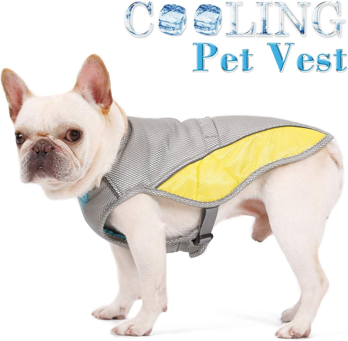 BT Bear Dog Clothes,Pet Cooling Vest Jacket for Dog Bulldog Dog Cooling Vest Summer Cooling Coat (M -Chest: 50-62cm) - Image 3