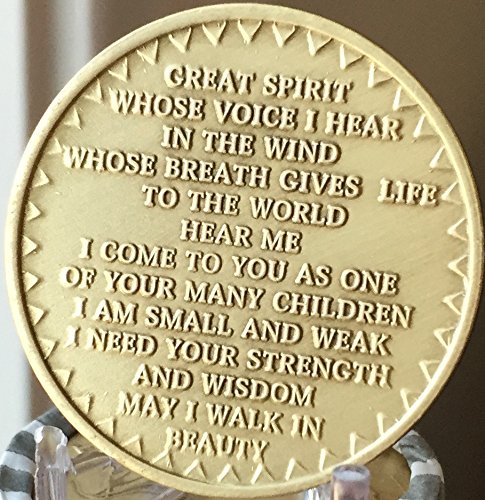 Native American In The Spirit Of Love Bulk Lot of 25 Medallions Dream Catcher Chips Bronze Great Spirit Prayer