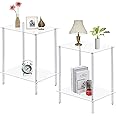 IRCPEN Acrylic Glass Side Tables with 2 Shelve, End Table Set of 2, Nightstands for Tight Spaces, 2-Tier Tempered Glass Bedside Table for Office, Bedroom, Living Room, Study, Outdoor (2, Transparent)