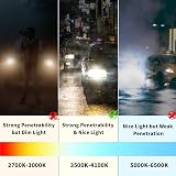 AGPTEK H7 Headlight Bulbs 55W 12V Dual Beam 3000 Lumen Blue Coated Xenon Style view 4