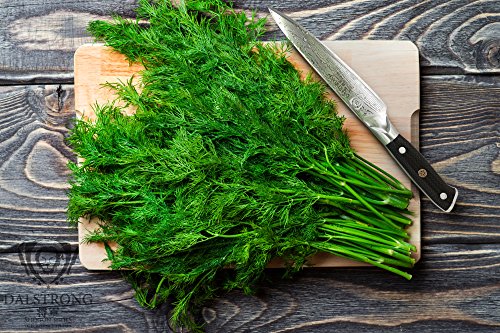 6 DALSTRONG+Utility+Knife+AUS+10V+Treated