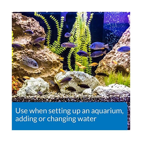 API TAP WATER CONDITIONER Aquarium Water Conditioner Bottle,White, 473 ml