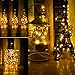 33ft LED String Lights Dimmable with Remote Control, ALPULON Waterproof Lights for Christmas Decorations,Parties,Bedroom,Patio,Garden,Gate,Yard,Outdoor(Copper Wire Lights, Warm White)