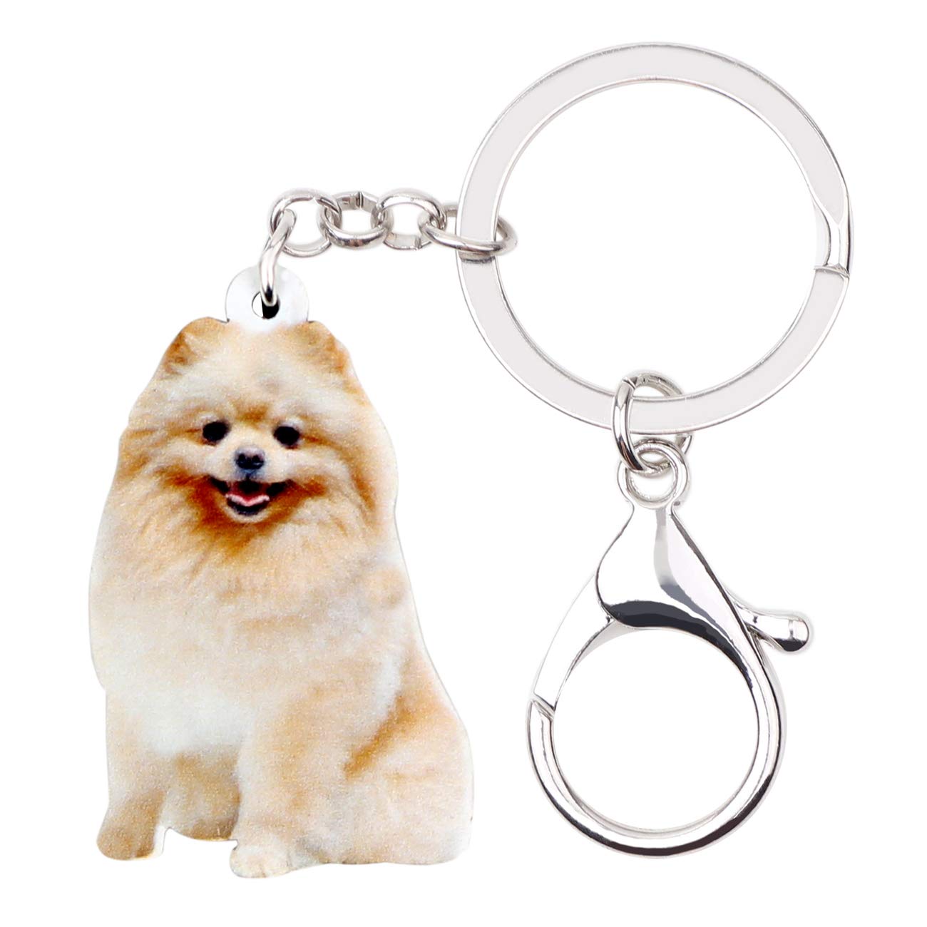 WEVENI Acrylic Cute Pomeranian Dog Keychain Pet Keyring Jewelry Charms For Women Girls (Beige)