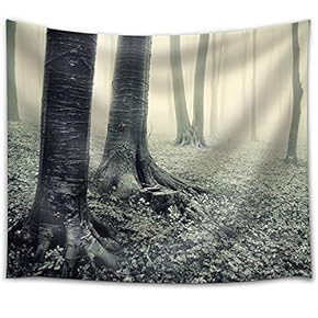 Grayscale Photo of Trees with Roots Above Ground - Fabric Tapestry, Home Decor - 51x60 inches