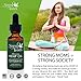 New Premium Hemp Seed Oil – 100% Organic, Pure, Vegan – Best Full Spectrum Supplement Tincture for Healthy Women & Men – Helps Skin, Hair, Chronic Pain & More (Natural Peppermint, 250mg)