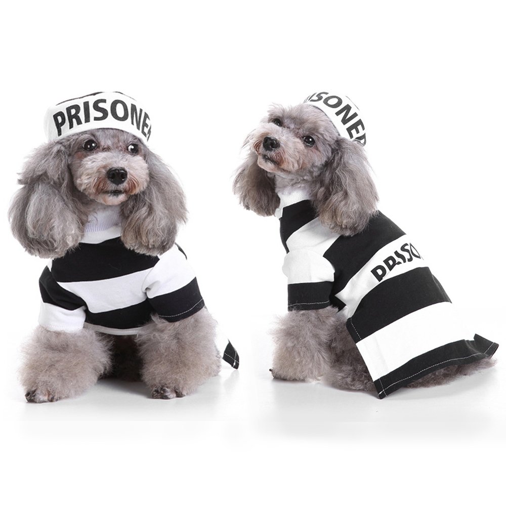 prison dog costume