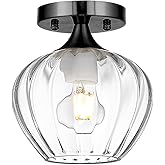 QianZhan Black Glass Ceiling Light