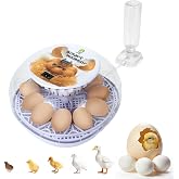 Gen I - 12 Egg Automatic Incubator, Steady Humidity with Auto-Refill, Stable Temp Control, Auto Egg Turning, Candler, Real-Time Display for Hatching Chicken, Goose, Duck, Quail, Pigeon, and Turkey