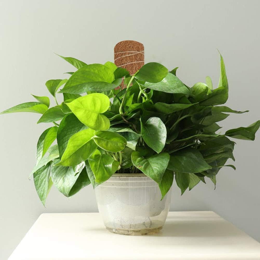 Robustos Postes de Soporte para Plantas, Poste de Soporte ...