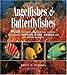 Angelfishes & Butterflyfishes: Reef Fishes Series by Scott W. Michael, Fred Bavendam