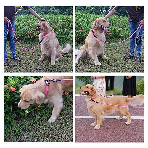 NIMBLE Dog Leash and Collar Set 5FT Strong Reflective Dog Leash and Waterproof Collar for Medium Large Dogs - Thumbnail 6