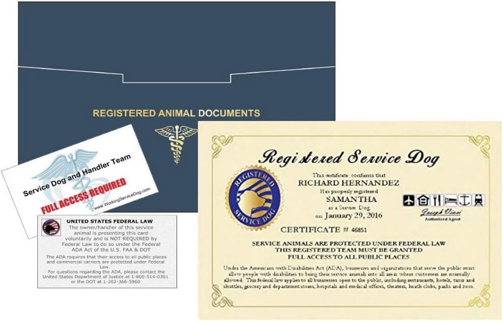 federal registration for service dogs