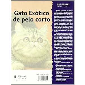 Gato Exotico De Pelo Corto/ Exotic Short Hair Cat (Spanish Edition)