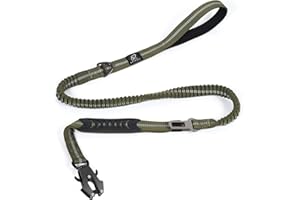 Raipult Tactical Heavy Duty Dog Leash,4-6FT Strong Bungee Dog Leashes with Frog Clip & Car Seatbelt，Reflective Walking Lead with 2 Handles for Medium Large Dogs,Green