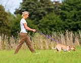 Taglory Dog Lead Reflective Double Sided 2 cm x 120 cm Purple view 3