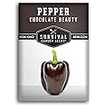 Survival Garden Seeds - Chocolate Beauty Pepper Seed for Planting - Packet with Instructions to Plant and Grow Beautiful Brown Bell Peppers in Your Home Vegetable Garden - Non-GMO Heirloom Variety