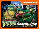 Teenage Mutant Ninja Turtles Season 1 (2003)
