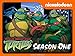 Teenage Mutant Ninja Turtles Season 1 (2003)