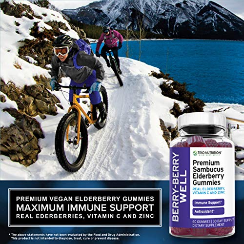 Premium Fresh Elderberry Gummies | Fresh Pectin, Zinc & Vitamin C | Big Immune System Booster - Real Black Elderberries, NO Gelatin, NO Fructose, Gluten Free | Immune Support & Berry Delicious* (2)