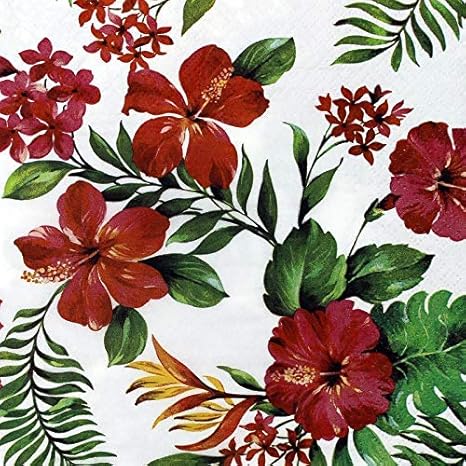 Tootpado Tissue Paper Decoupage 33 X 33 Cm Pack Of 20 Same Desing