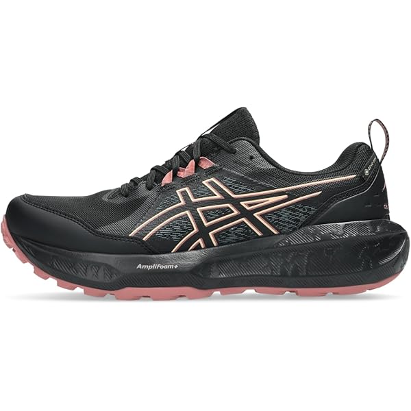 Arc'teryx Norvan LD 3 GTX Shoe Women's | Long Distance Gore-Tex