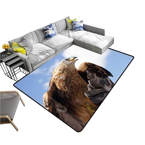 Amazoncom Multi Color Modern Area Rug Golden Eagle Non