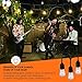 48Ft Outdoor Weatherproof String Lights with 24 Sockets E26 Base & 26 11W S14 Warm Bulbs, Commercial Grade Heavy Duty Light String for Patio, Bistro, Backyard, Black Wire
