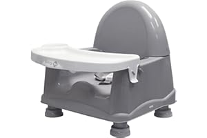 Safety 1st Easy Care Swing Tray Booster, Steel Fog