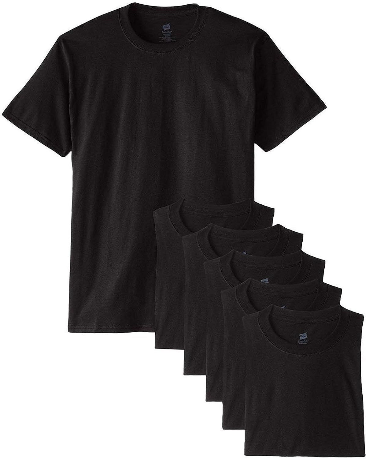 Hanes Men's Classics 6 Pack Crew Neck Tee at  Men’s Clothing store: Hanes T Shirts