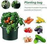 LLWQuanZSS Hylong 78L Potato Tomato Grow Bags 3-Pack - Soft-Sided Planters view 4