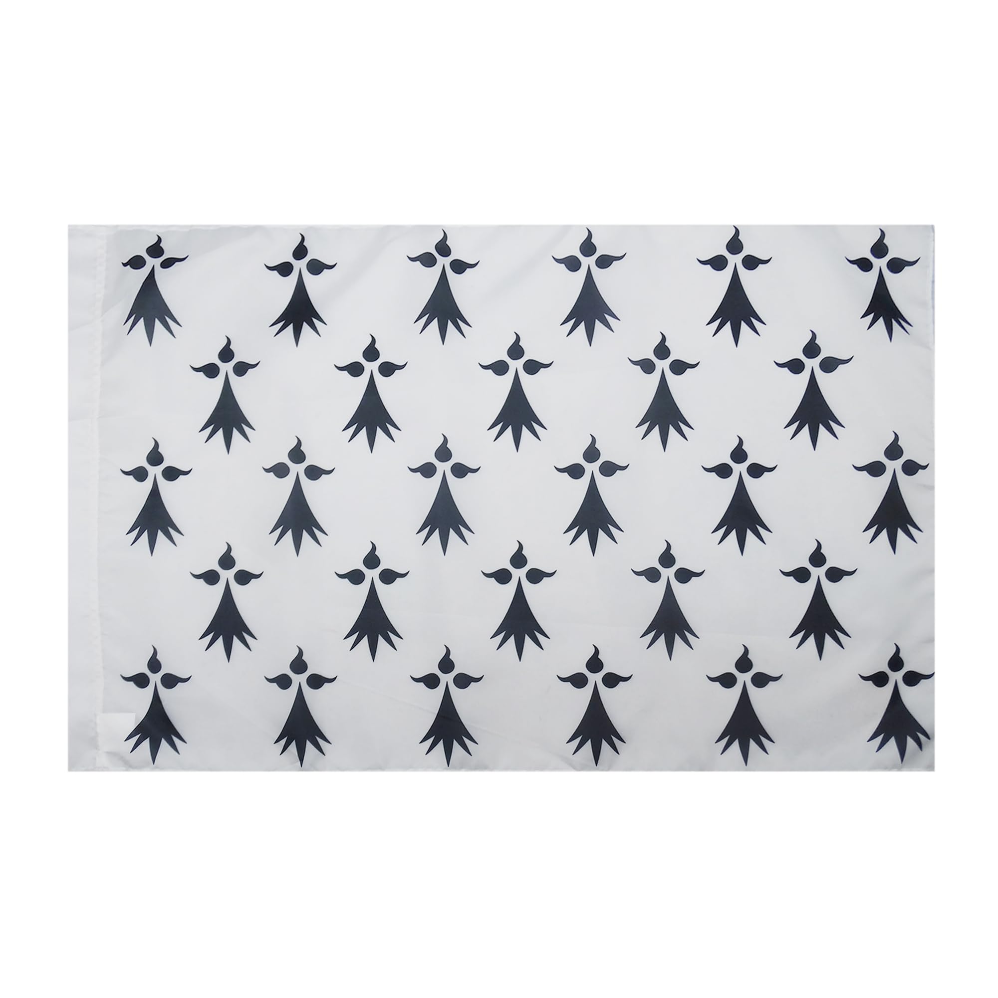 AZ FLAG - French Province of Brittany Flag - 2x3 Ft - Brittany Banner with Sleeve - 100% Polyester - Fade Resistant - Vivid Colors - 2' x 3' Feet - 90x60 Cm