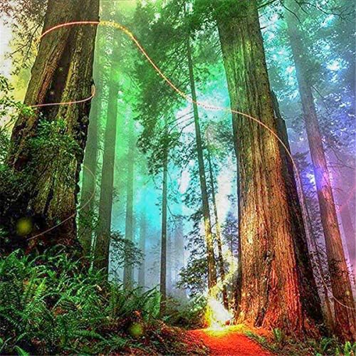 DIY 5D Full Drill Diamond Painting By Number Cross Stitch Diamond Mosaic Colorful Woods Landscape Painting Handmade Kits 16x16 inch / 40x40 cm