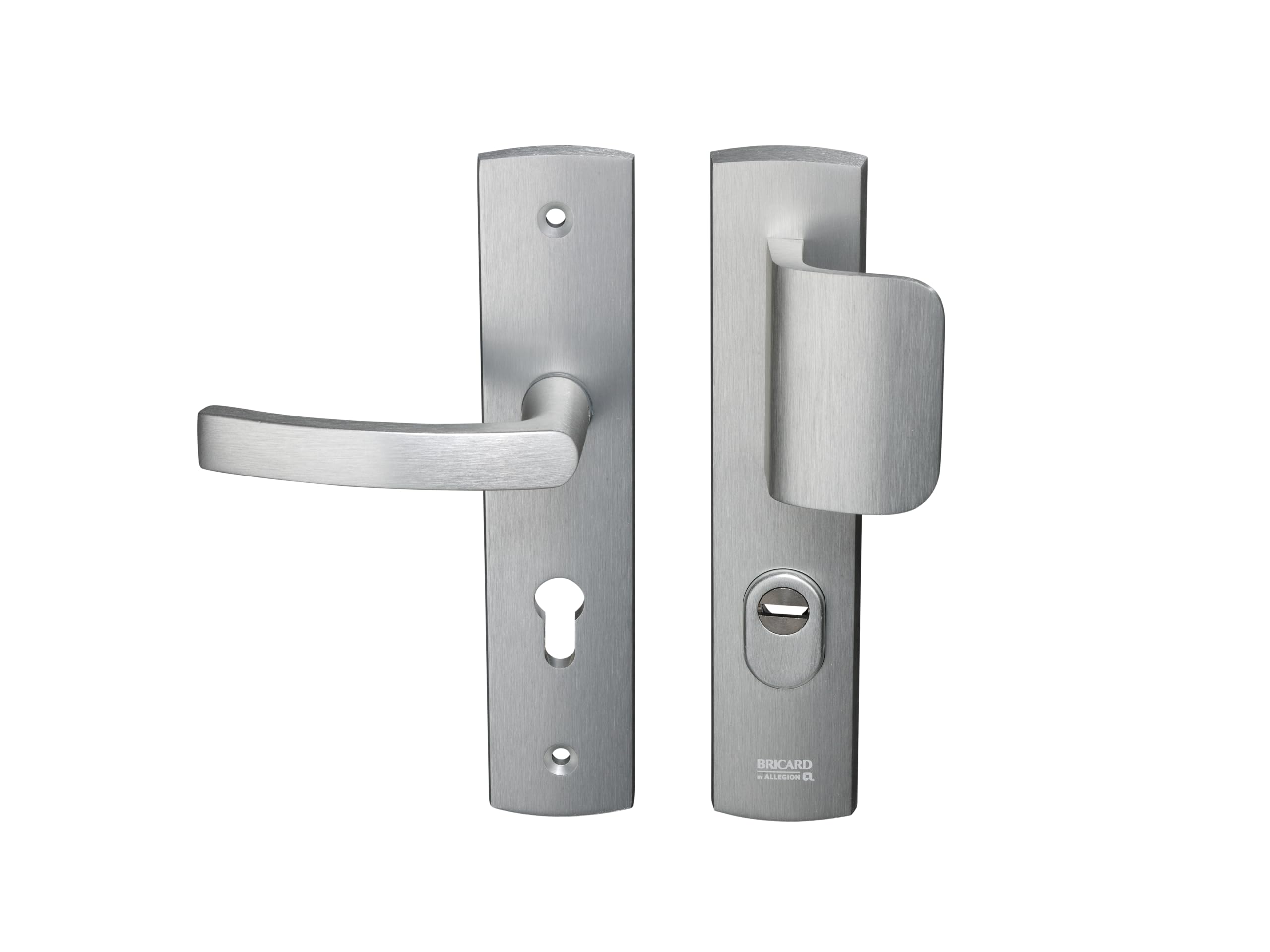Bricard 9920051 Stainless Steel Shielded Handles on Plate for Entrance Door Stand and Spoiler for European Cylinder