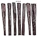 Baxter Boy 6” Joint Health Boosting Sticks Dog Treat Chews (25 Pack) – Naturally Rich in Glucosamine and Chondroitin - Tasty and Fresh Beef Gullet Sticks - Promotes Healthy Joints and Tissue Growth