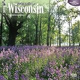 Wisconsin, Wild & Scenic 2015 Square 12x12 (Multilingual Edition) by
