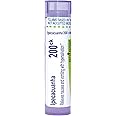 Boiron Ipecacuanha 200Ck Homeopathic Medicine for Nausea - 80 Pellets
