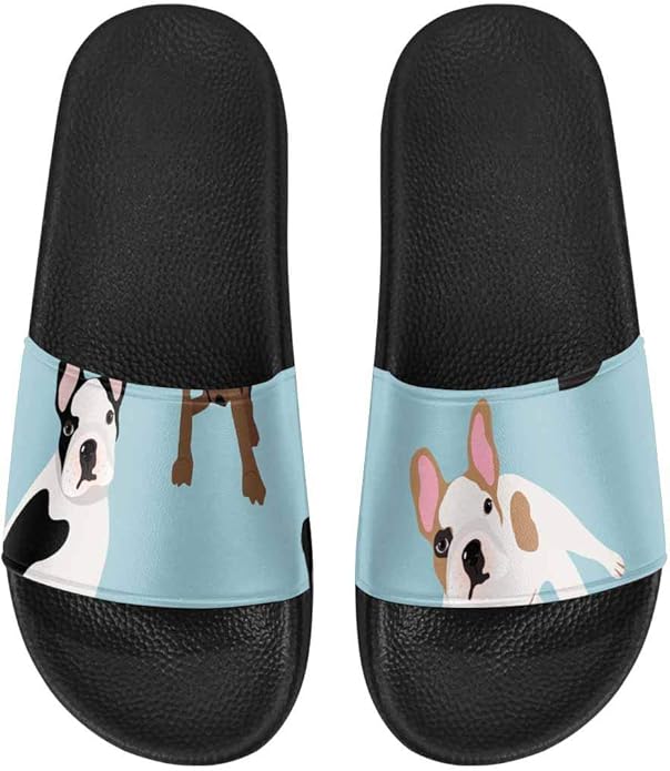 coach dinosaur slides
