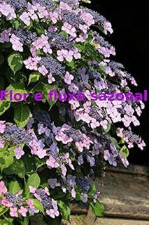 Livro Flor e fluxo sazonal