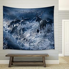 Deer Standing on The Frozen Meadow Near The River at Moonlight - Fabric Wall Tapestry Home Decor - 51x60 inches