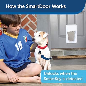 smart dog door alexa