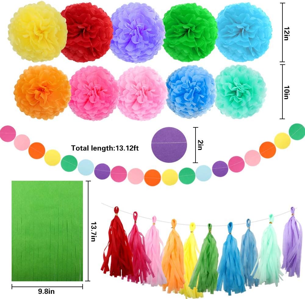 ZJHAI 61pcs Rainbow Party Decoration Tissue Paper Pom Poms, Tassel Garland and Circle Dots Hanging Decorations: Toys & Games