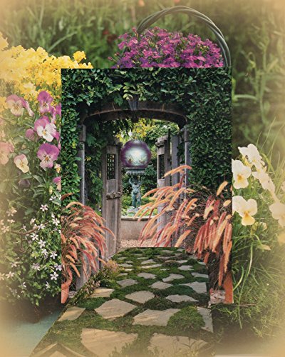 Download Crone Dreams: Dreams in Later Life Download Crone Dreams: Dreams in Later Life